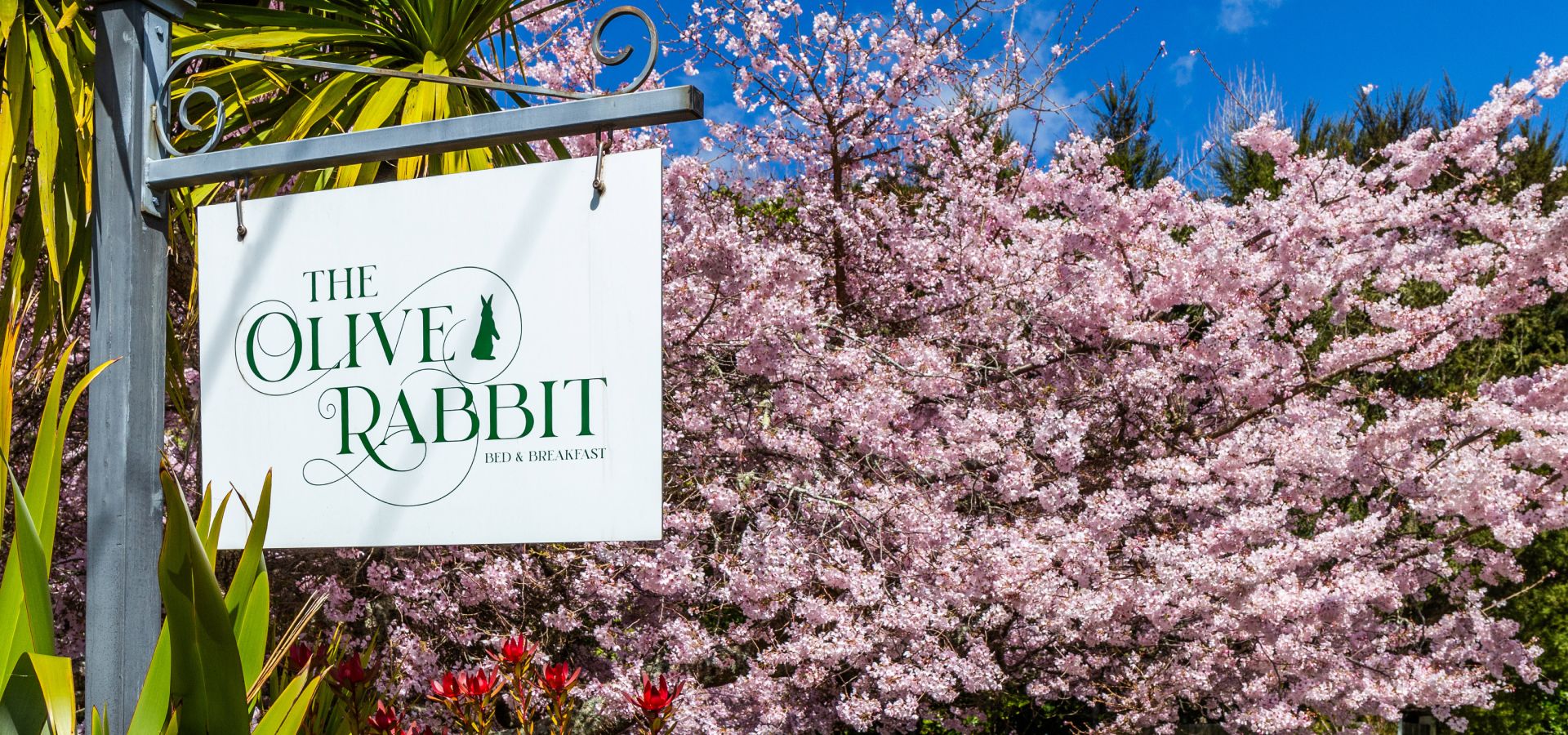 The Olive Rabbit Bed & Breakfast in Turangi
