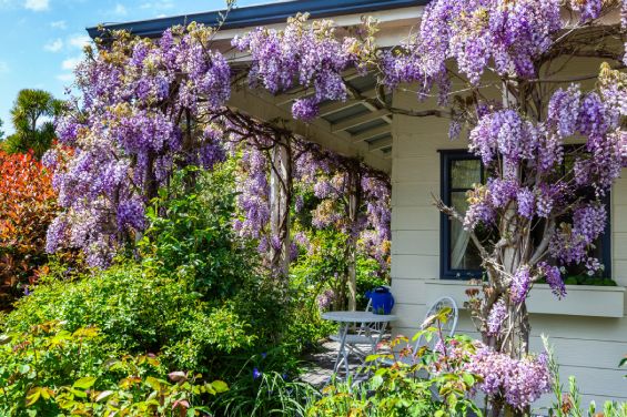 Duchess's Suite - patio