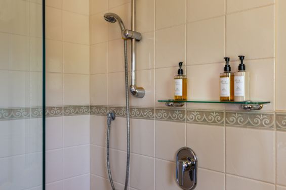 Judge's Suite - shower